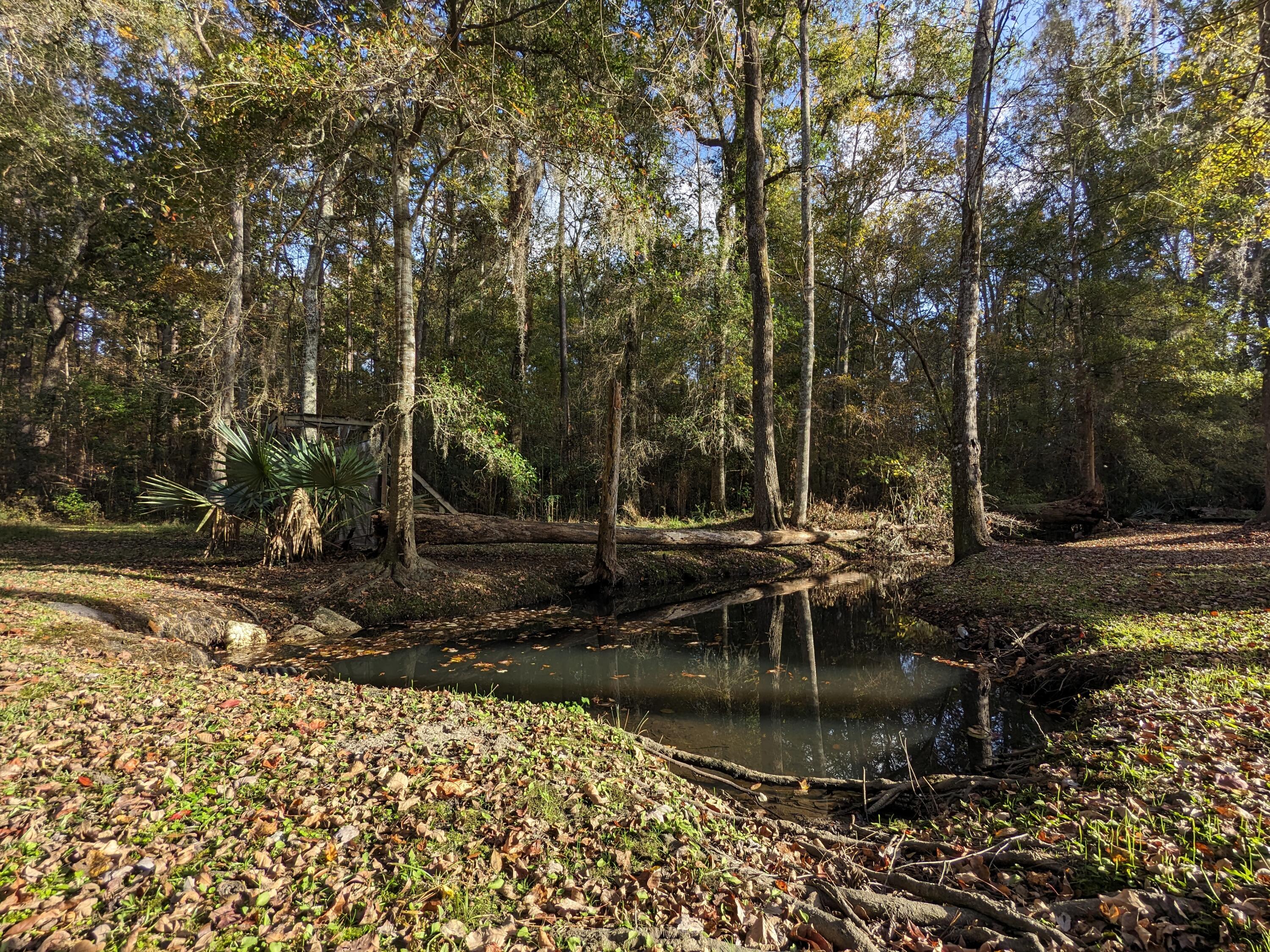 565 Fourwind Road Holly Hill, SC 29059 - Photo 14 of 17 PXL_20231117_202945700