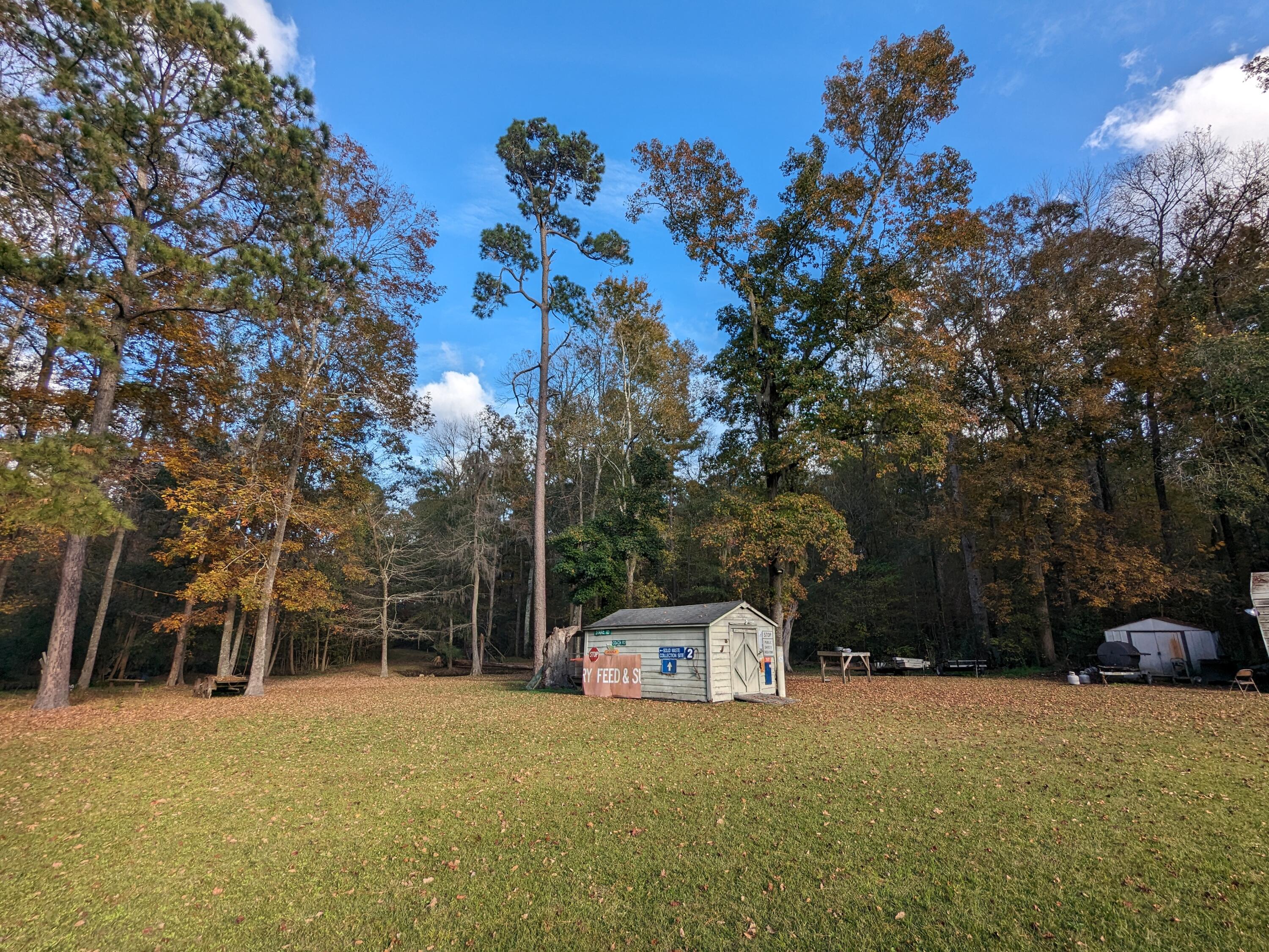 565 Fourwind Road Holly Hill, SC 29059 - Photo 5 of 17 PXL_20231117_202522752