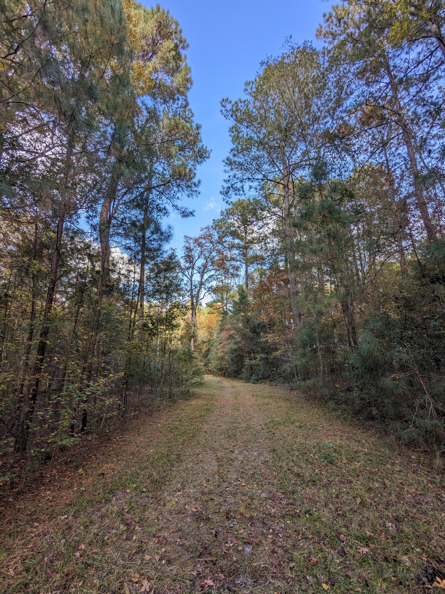 565 Fourwind Road Holly Hill, SC 29059 - Photo 10 of 17 PXL_20231117_202649015