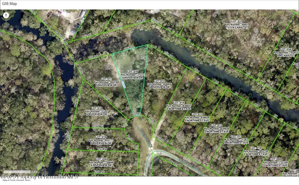 $100,000 | 0 Riverview Drive, Webster, FL 33597