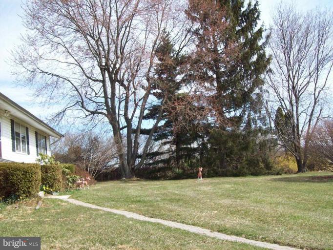 3538 Basler Road Hampstead, MD 21074 - Photo 11 of 14 a view of a big yard with large trees