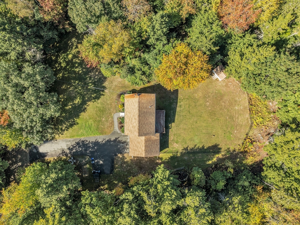 76 Ferin Road Ashburnham, MA 01430 - Photo 32 of 41 a view of a big yard with large trees