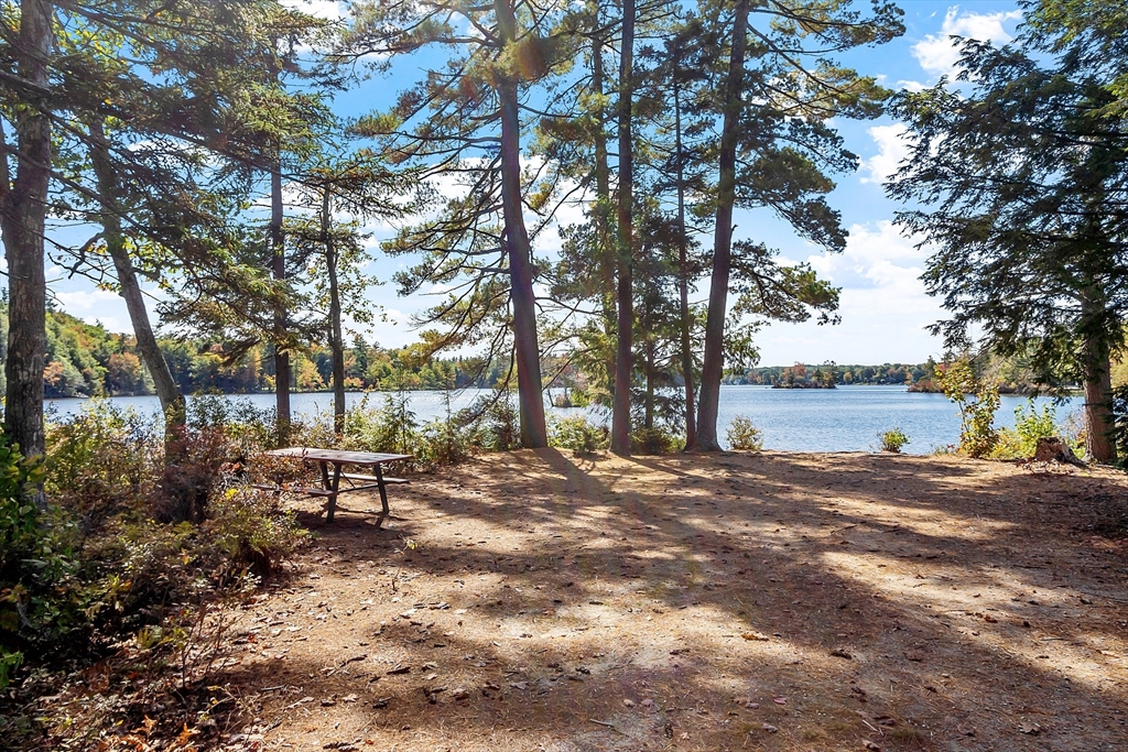 76 Ferin Road Ashburnham, MA 01430 - Photo 36 of 41 a view of a outdoor space with chairs and trees