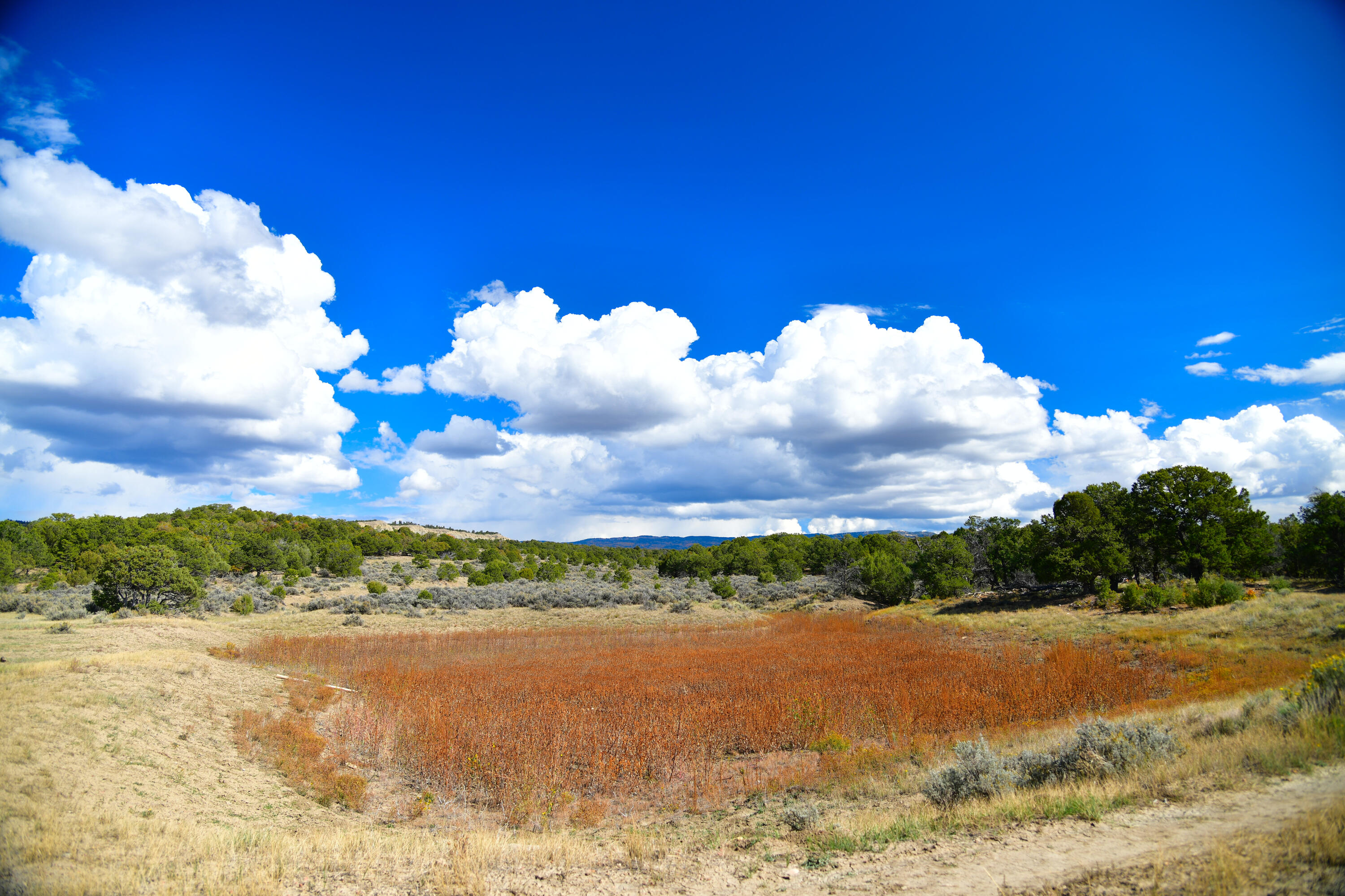 South And Ranch West Cebolla, NM 87518 - Photo 27 of 42 Gallery Image 27