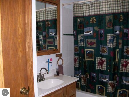 9130 North Rich Road Alma, MI 48801 - Photo 15 of 15 1789571-14.JPG
