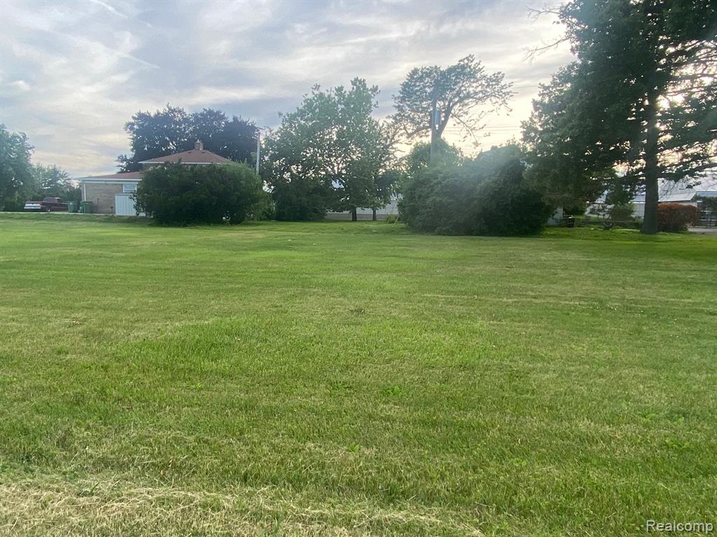 0 Eureka Road Road Wyandotte, MI 48192 - Photo 3 of 4
