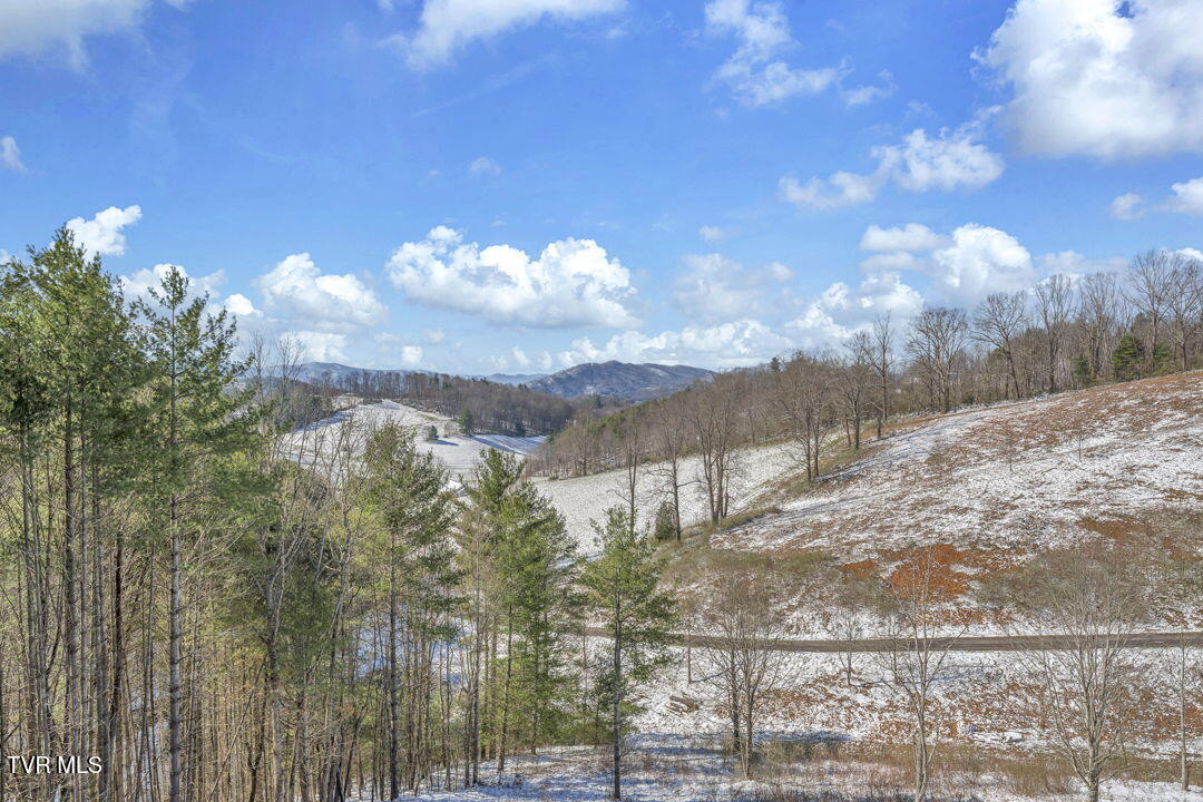550 Ridgeview Drive Mountain City, TN 37683 - Photo 7 of 46 9-web-or-mls-A7504836