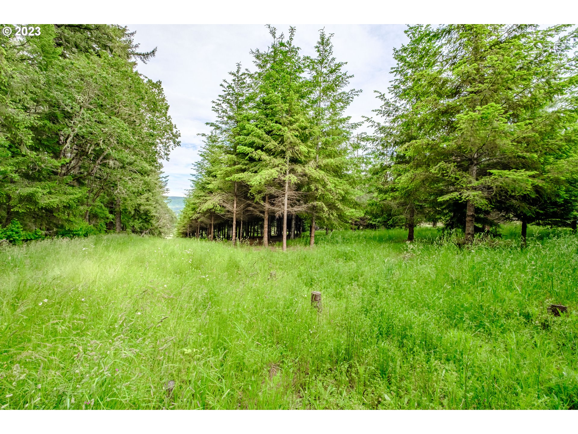 1701 Rice Road Sweet Home, OR 97386 - Photo 13 of 32 Gallery Image 13