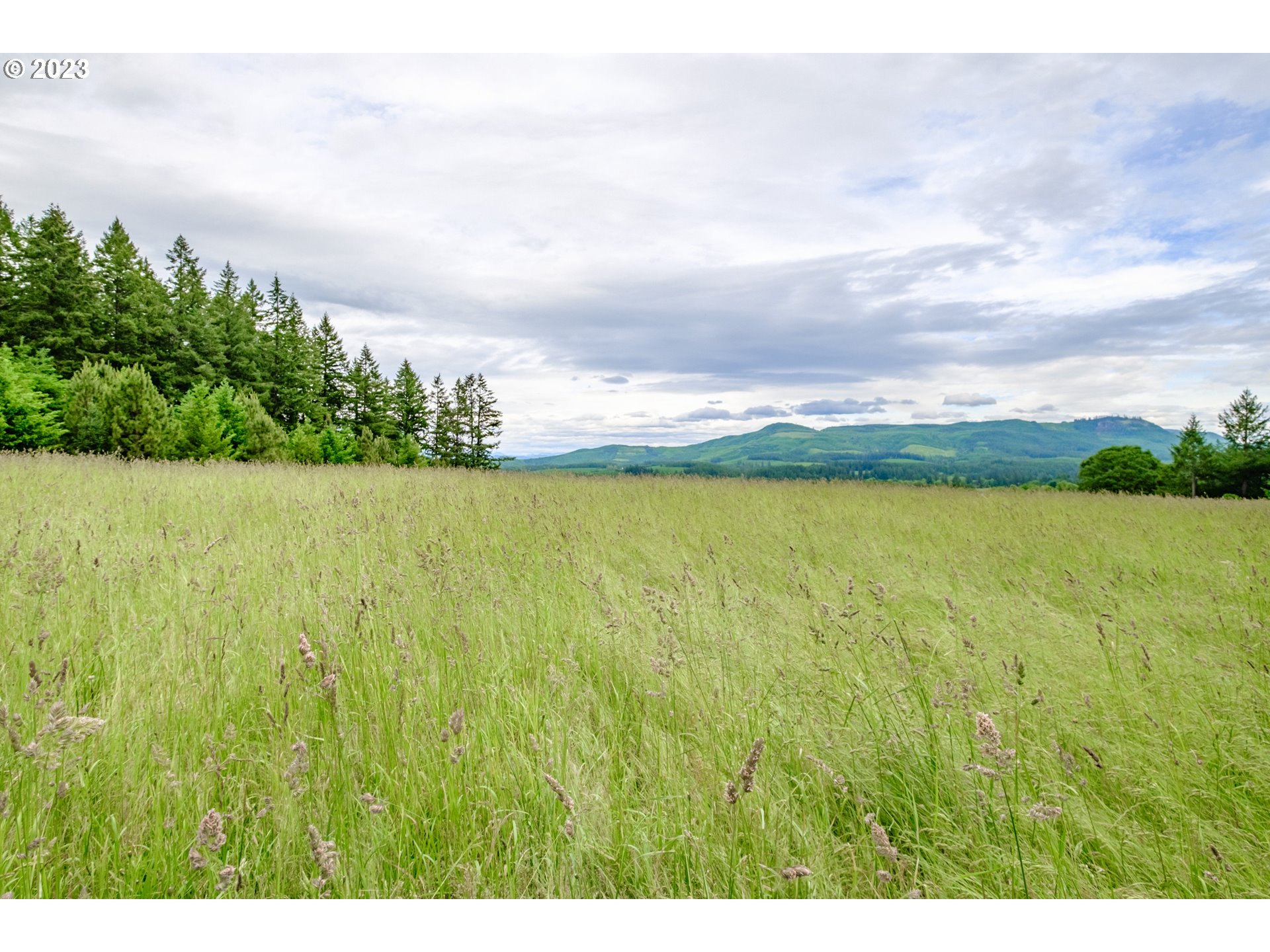 1701 Rice Road Sweet Home, OR 97386 - Photo 21 of 32 Gallery Image 21