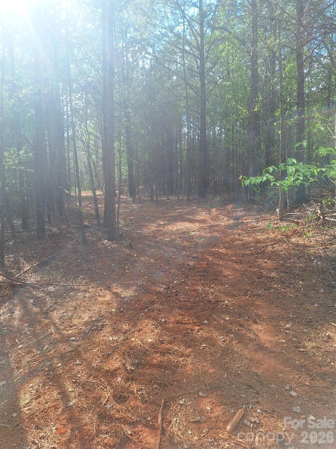 0 King Wilkinson Road, Unit 2 Denver, NC 28037 - Photo 2 of 4 Gallery Image 2