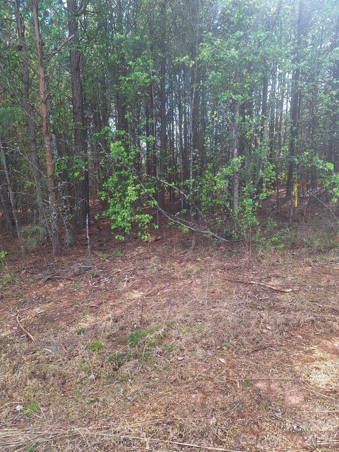 0 King Wilkinson Road, Unit 2 Denver, NC 28037 - Photo 4 of 4 Gallery Image 4
