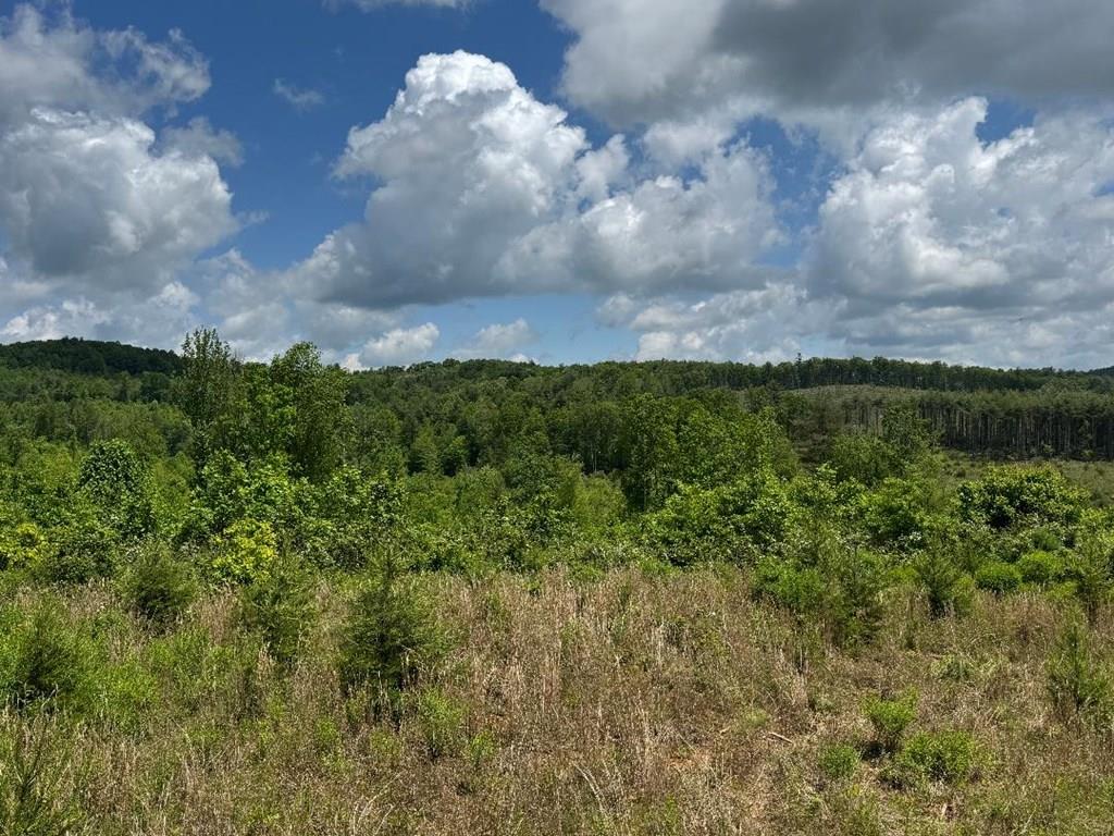 Tbd Tbd Marian Road Dugspur, VA 24325 - Photo 1 of 9 Gallery Image 1