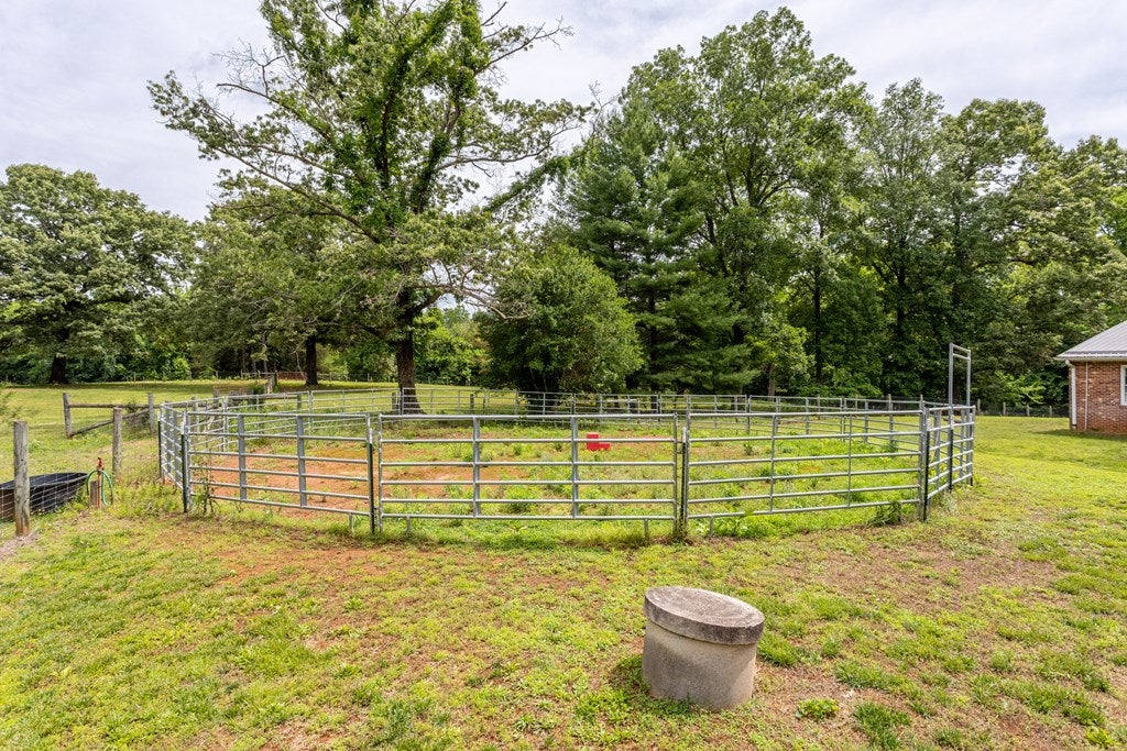 11393 Skipwith Road Chase City, VA 23924 - Photo 30 of 54 Gallery Image 30