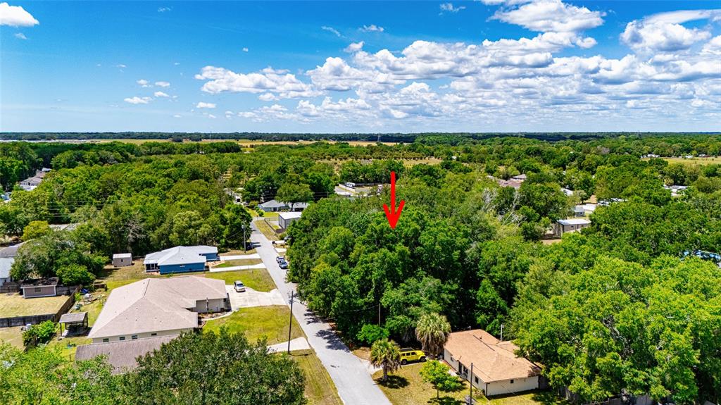 Southeast 157th Street Summerfield, FL 34491 - Photo 5 of 6 a view of a yard with plants