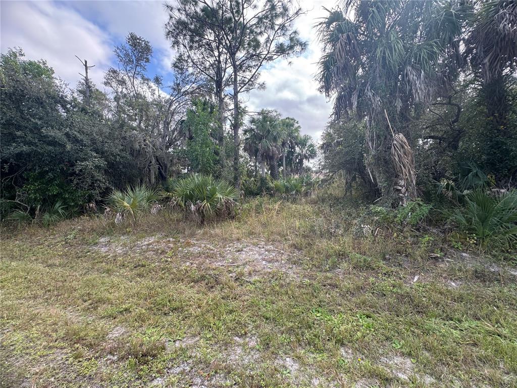 26129 Flower Road Punta Gorda, FL 33955 - Photo 4 of 4 a big yard with lots of green space and plants