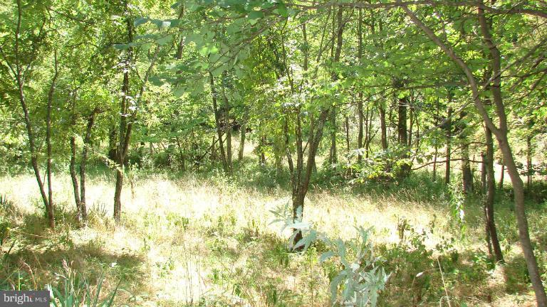 0 Rock Gap Road Berkeley Springs, WV 25411 - Photo 3 of 4 Exterior (General) Parcel 10