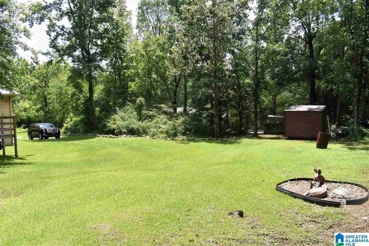 152 Homestead Lane Remlap, AL 35133 - Photo 13 of 22