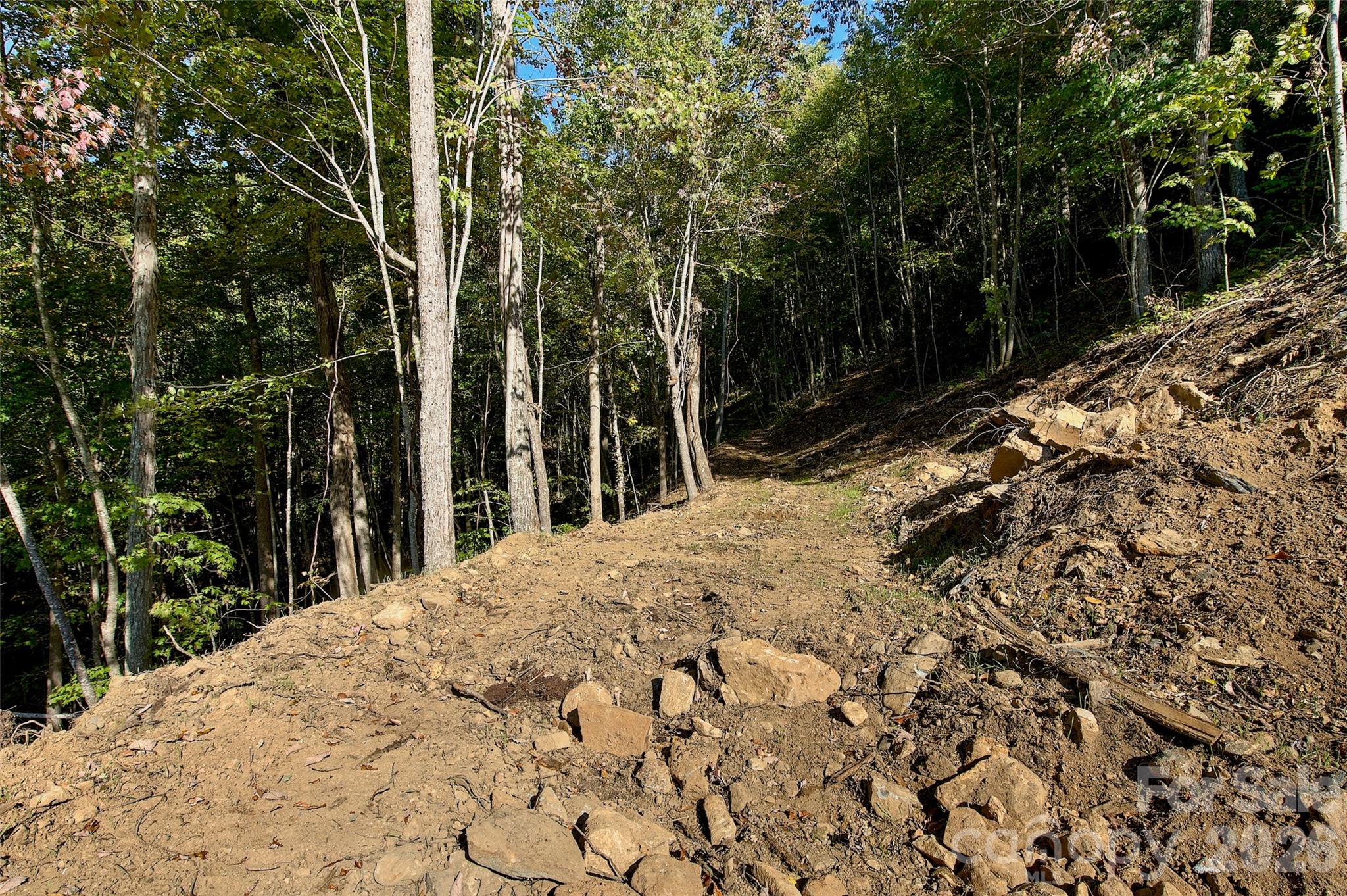 0 Arrowhead Ridge Road Spruce Pine, NC 28777 - Photo 9 of 15 Gallery Image 9