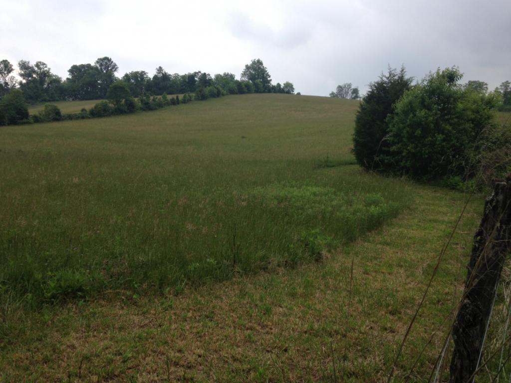 Tbd Cleveland Road Abingdon, VA 24211 - Photo 5 of 5 Photo 5