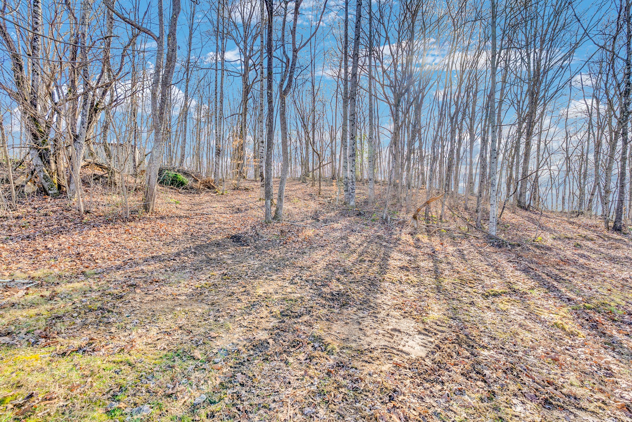 174 Copeland Road Sparta, TN 38583 - Photo 11 of 40