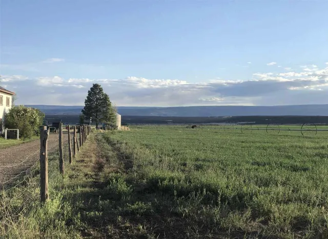a view of a back yard