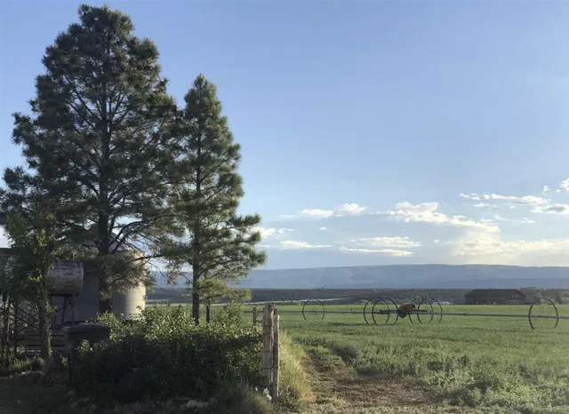 a view of a big yard with large trees