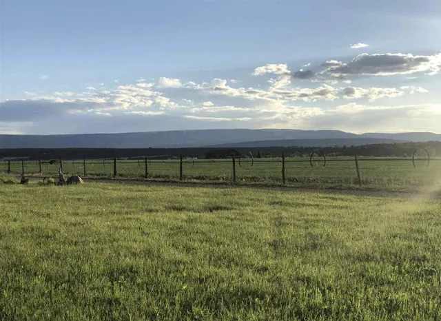 a view of a yard with an ocean view