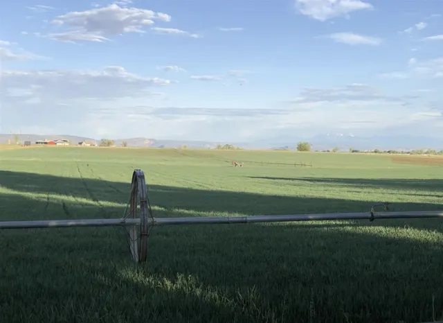 a view of a golf course with a building