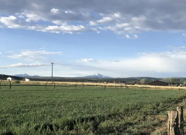 a view of a green field