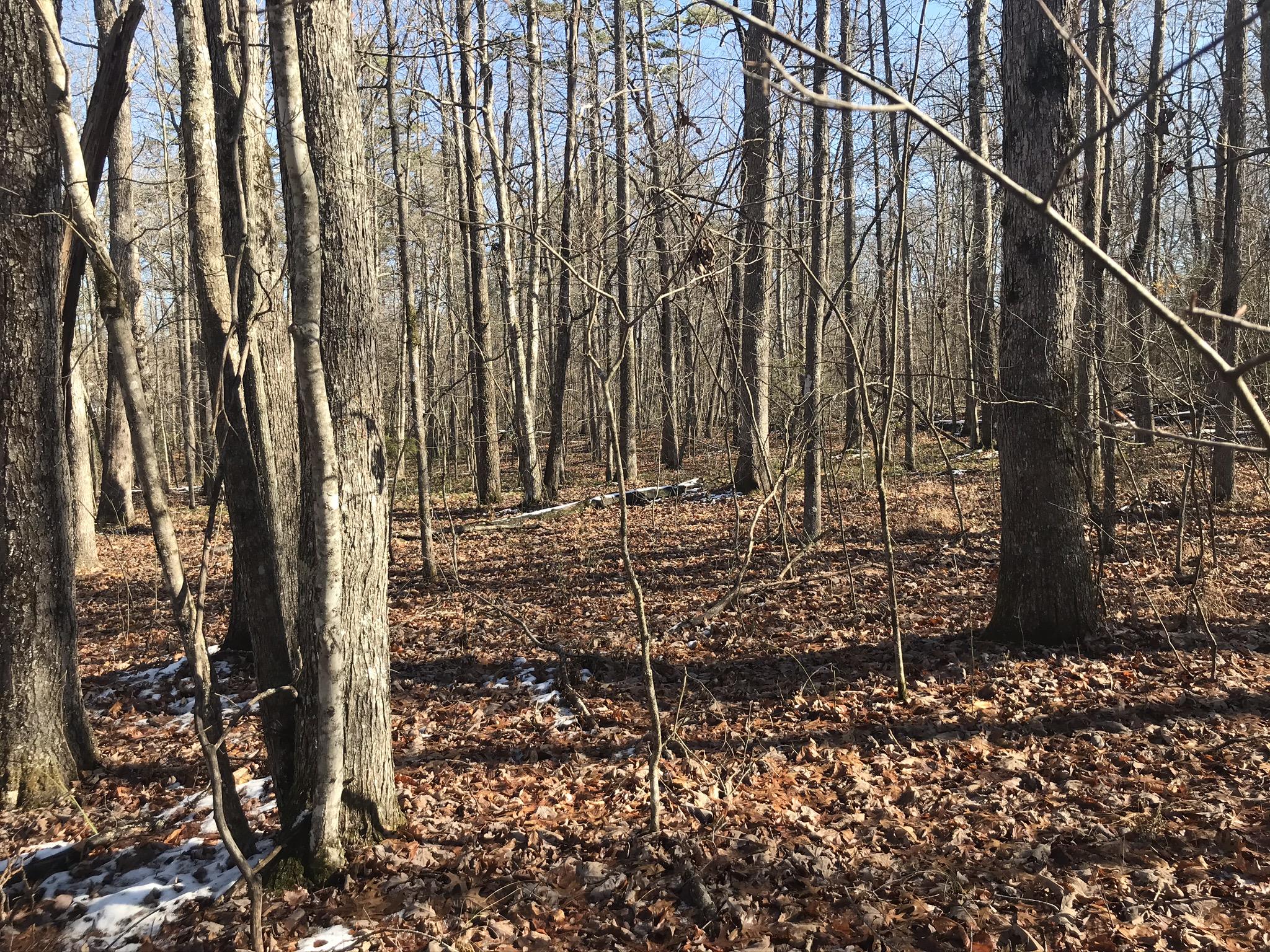 Indian Park Road, Unit 10 Monterey, TN 38574 - Photo 1 of 4 IMG_0644