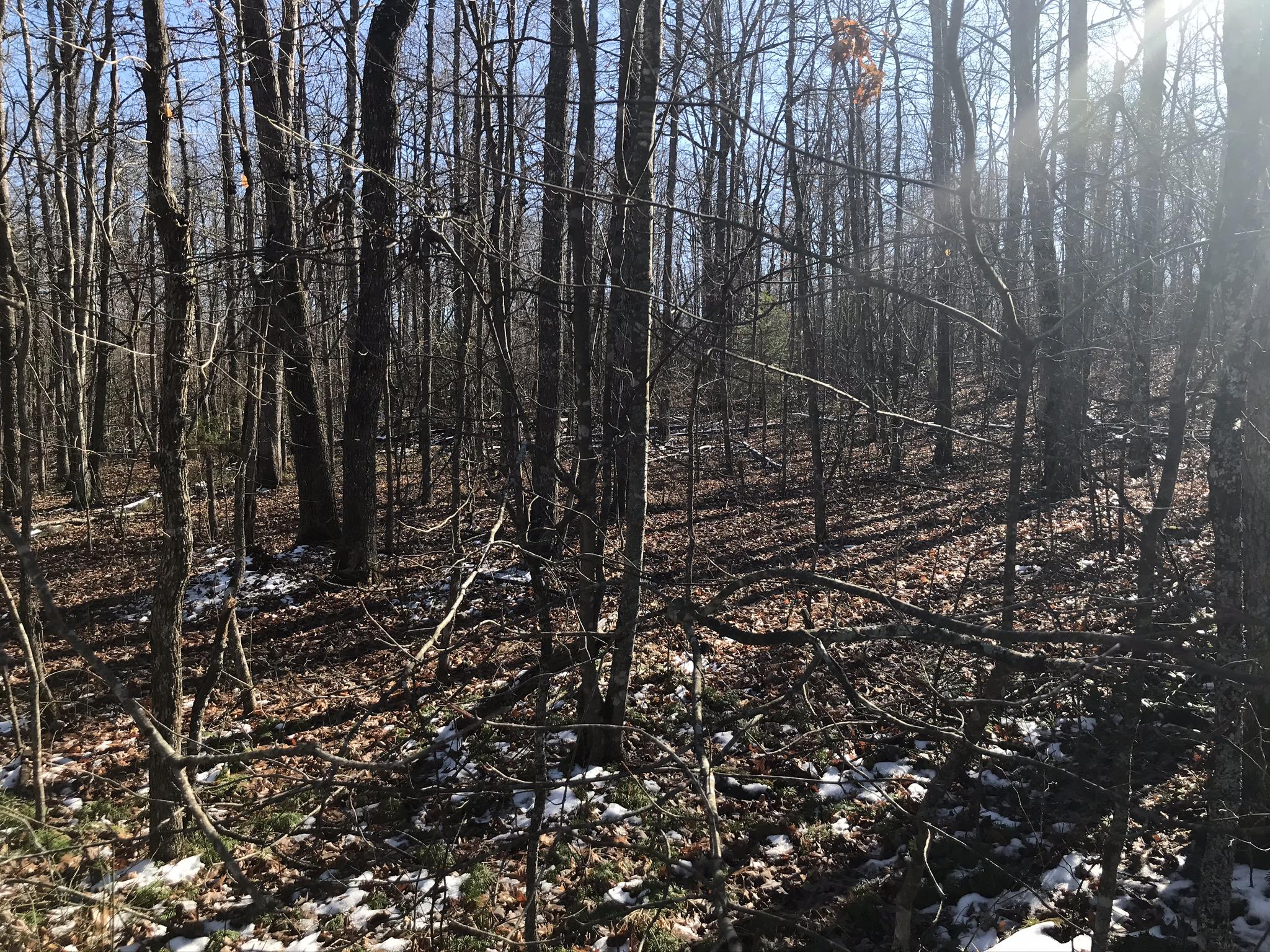 Indian Park Road, Unit 10 Monterey, TN 38574 - Photo 2 of 4 IMG_0642