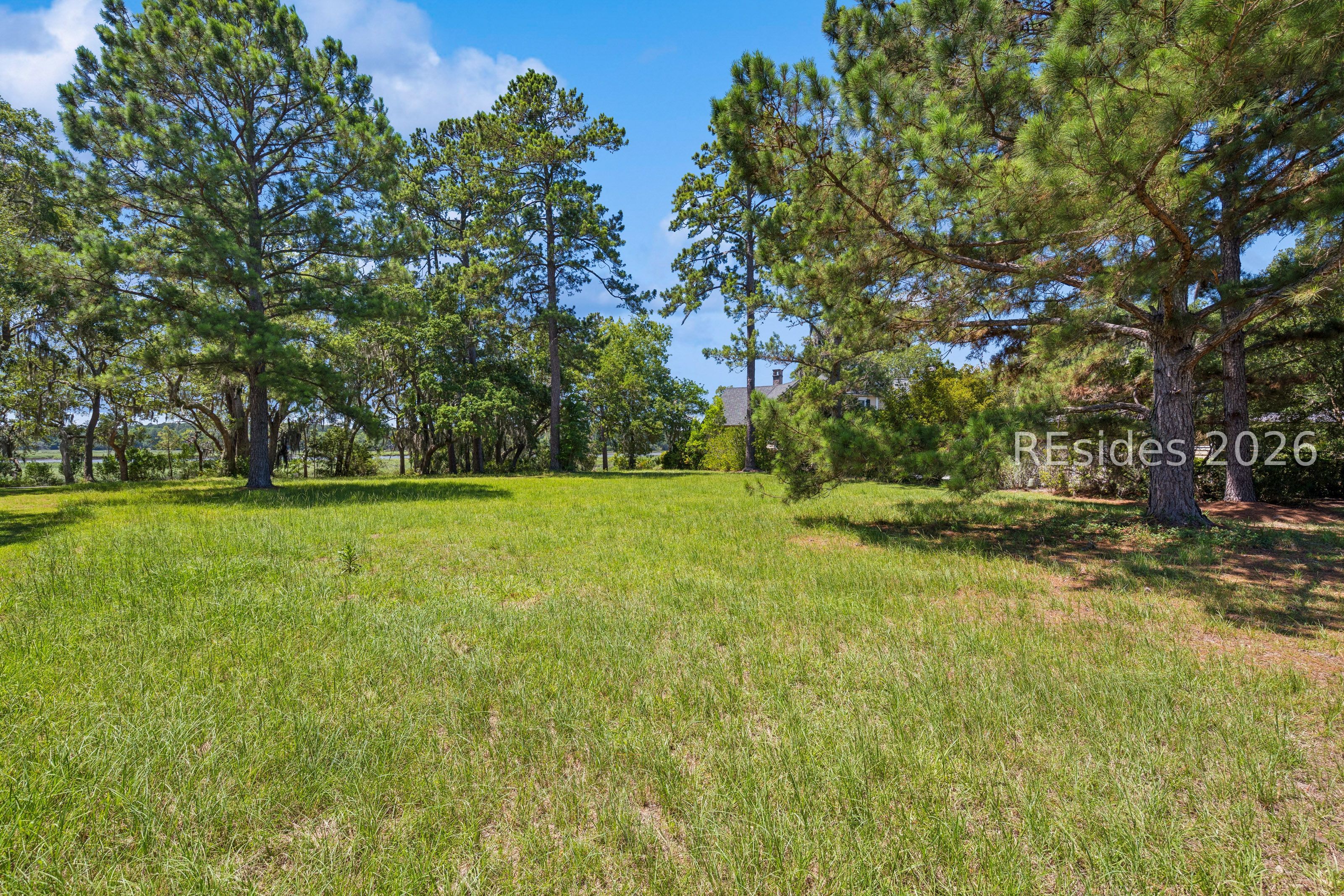 8 Pinckney View Circle Bluffton, SC 29909 - Photo 8 of 29