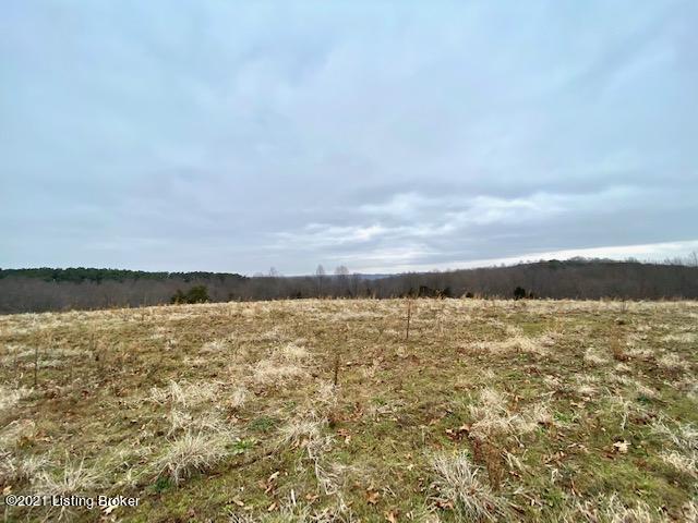 11000 Anneta Road Leitchfield, KY 42754 - Photo 21 of 34 view from hill