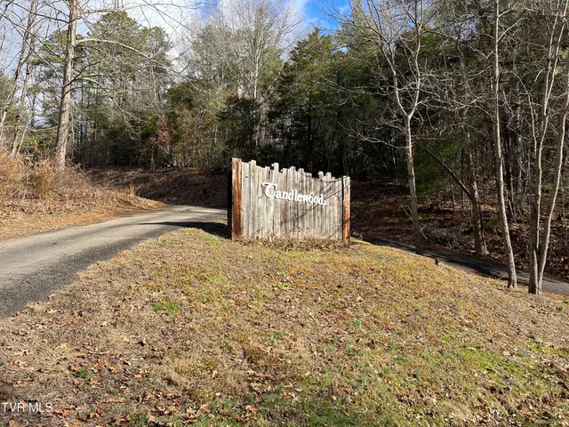 $165,000 | Tbd Candlewood Lane, Unit 1, Butler, TN 37640