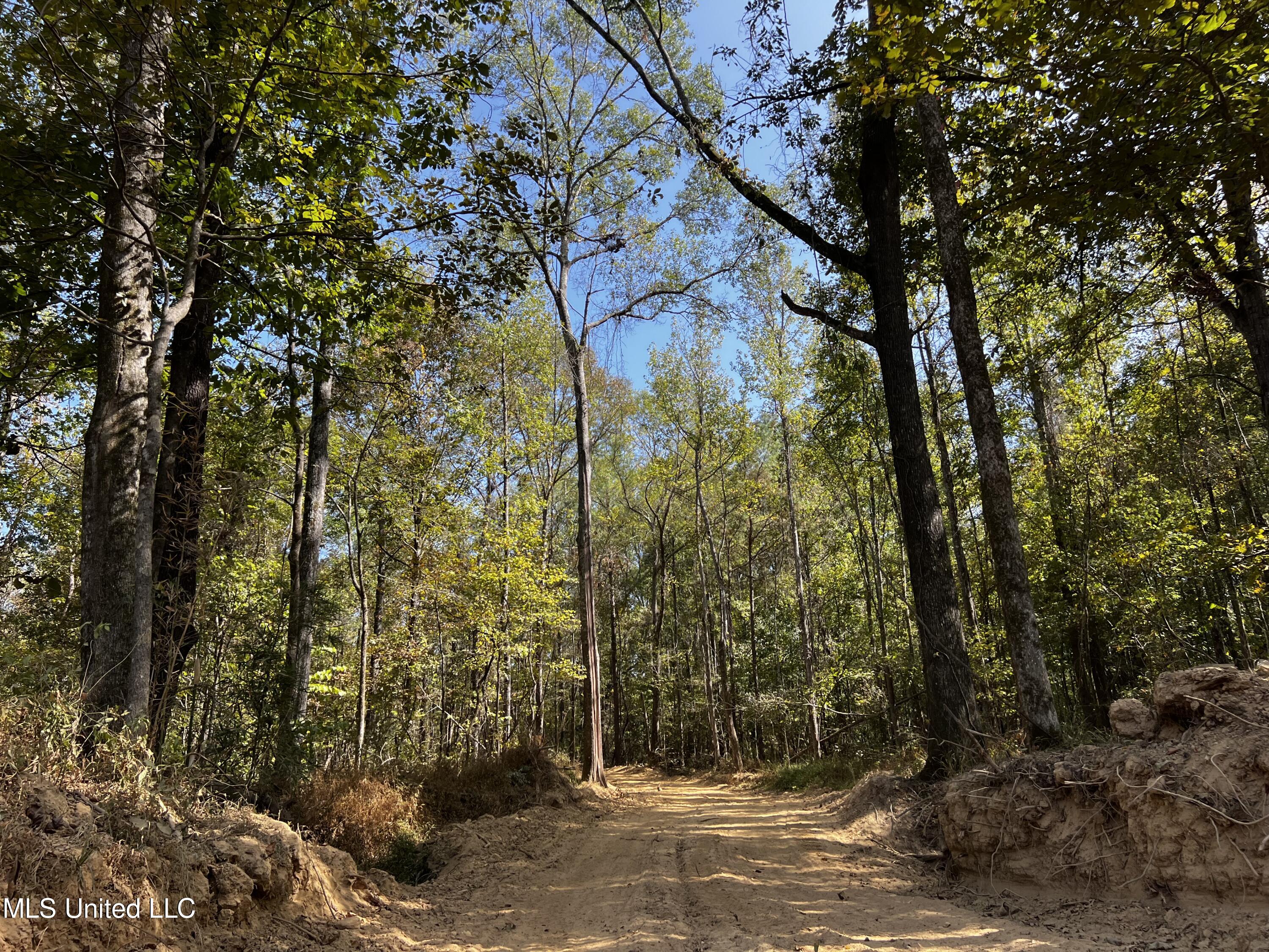 Hargon Road Camden, MS 39045 - Photo 1 of 7 Private Road