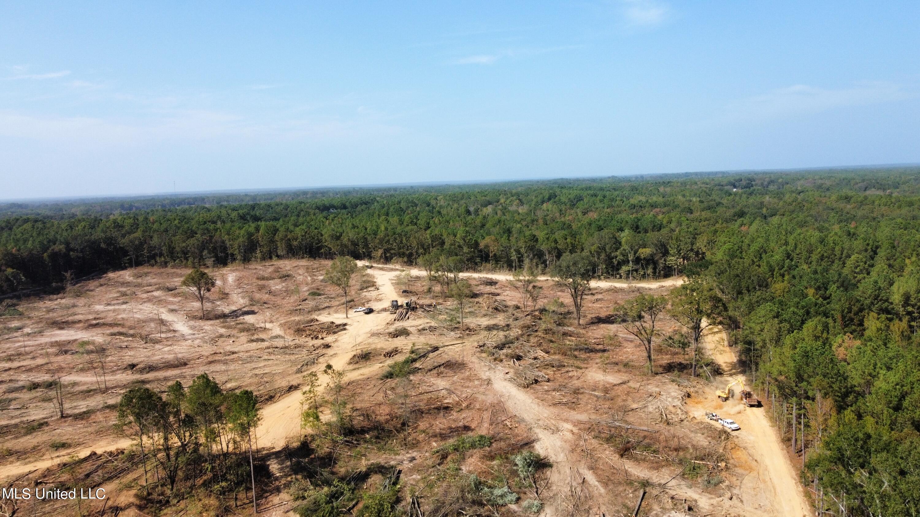 Hargon Road Camden, MS 39045 - Photo 3 of 7 dji_fly_20231003_144524_21_1696362335325