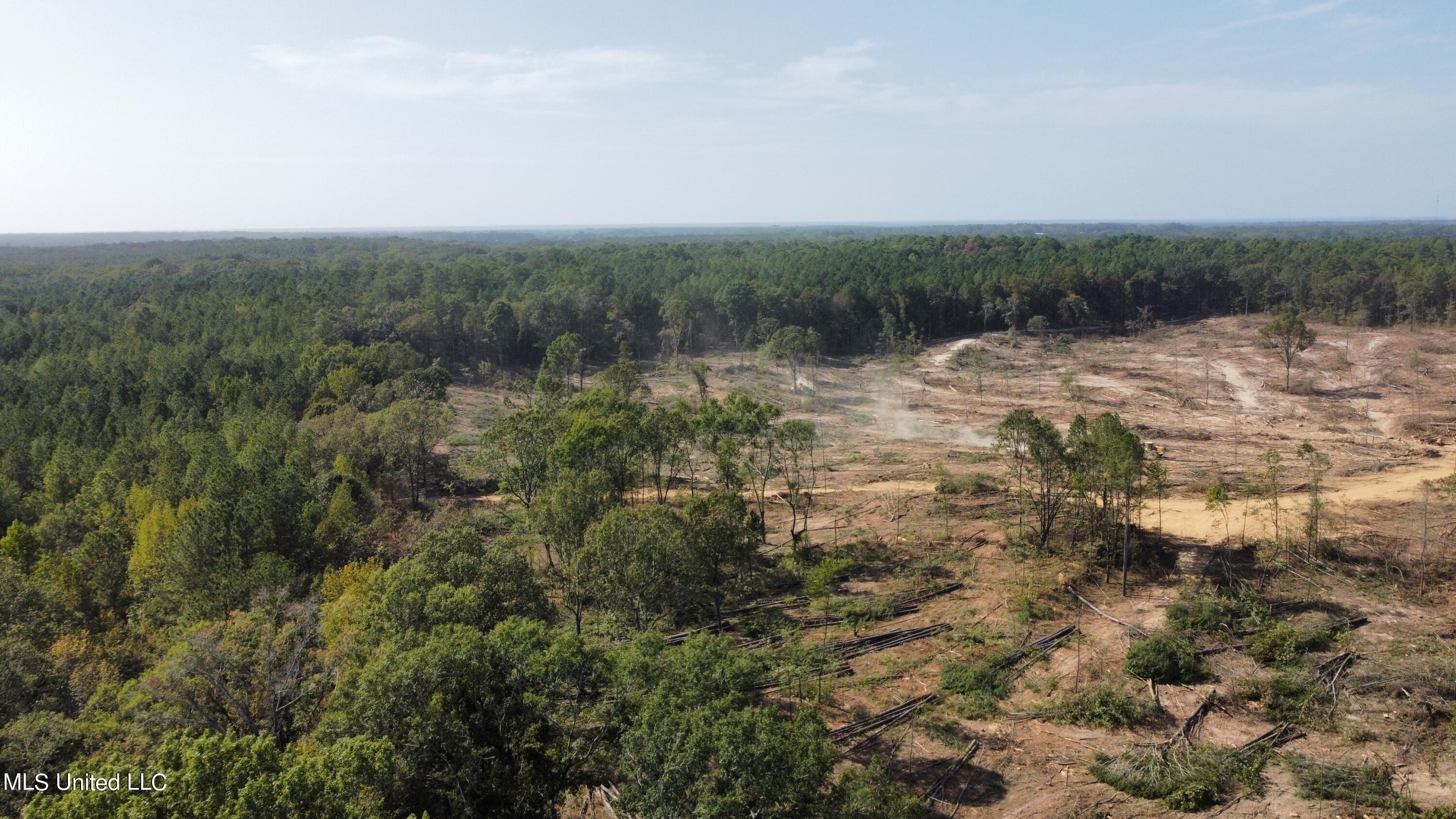 Hargon Road Camden, MS 39045 - Photo 5 of 7 dji_fly_20231003_144938_23_1696362908868
