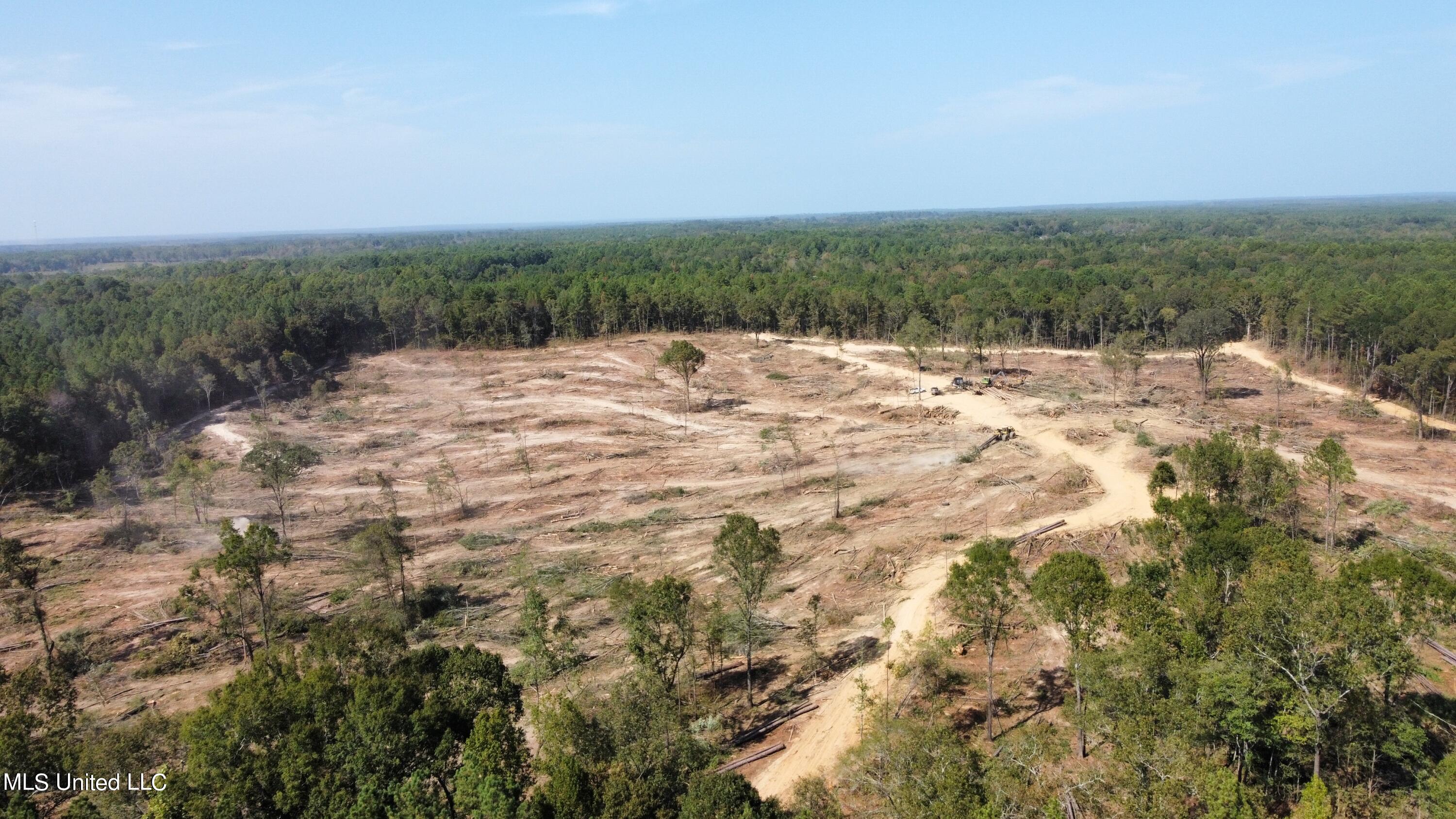 Hargon Road Camden, MS 39045 - Photo 7 of 7 dji_fly_20231003_145024_25_1696362662130