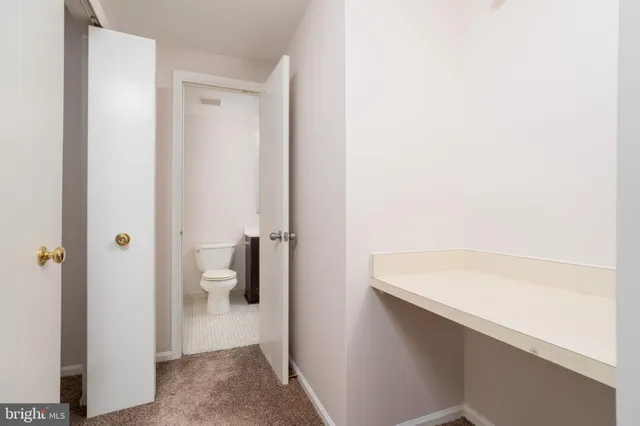 a bathroom with a sink and toilet
