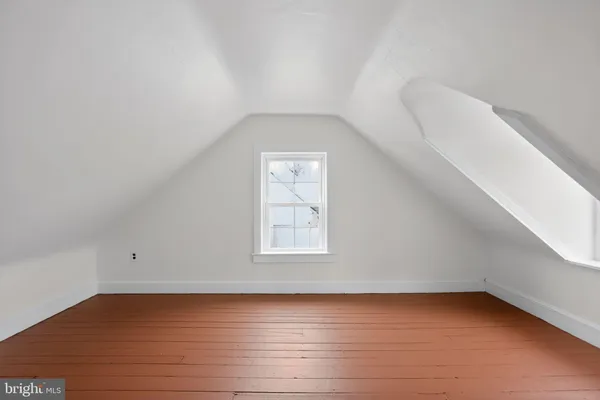 a view of a yard with plants and trees
