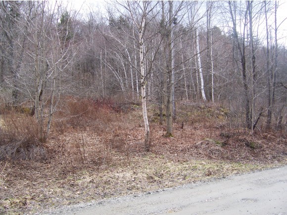 Tbd Plot Road Johnson, VT 05656 - Photo 1 of 1