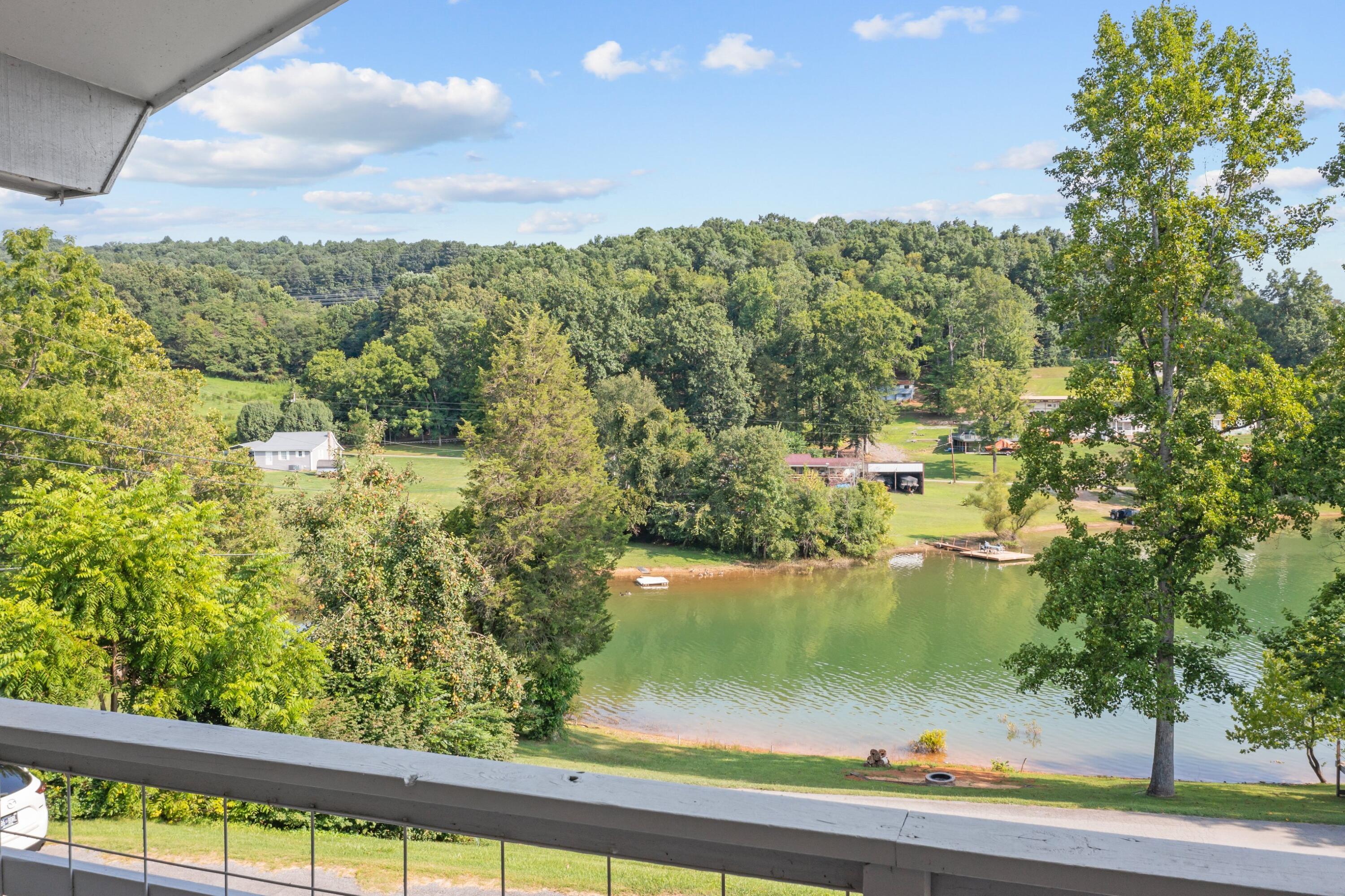 299 Noe Road Bean Station, TN 37708 - Photo 20 of 34 YJI_0972.jpg-SMALL