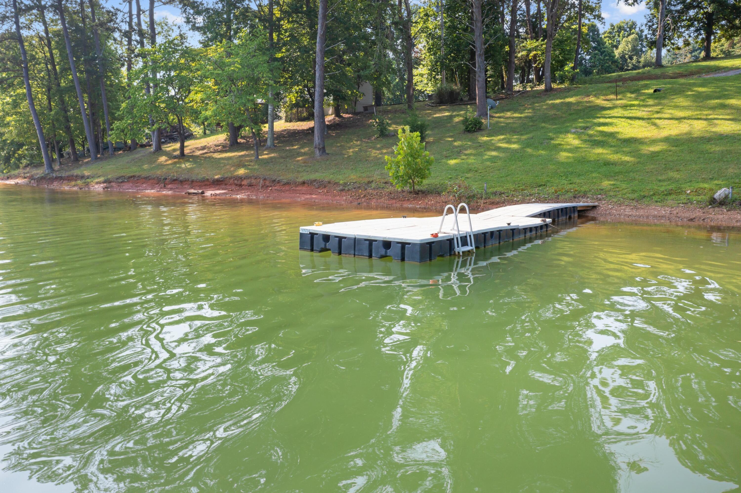 299 Noe Road Bean Station, TN 37708 - Photo 30 of 34 ZJI_0043.jpg-SMALL