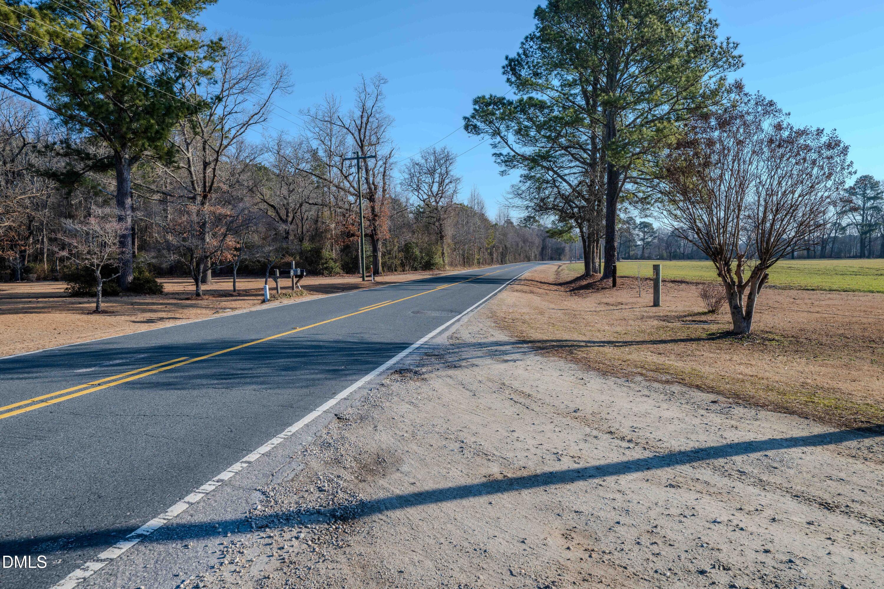 613 Will Lucas Road Linden, NC 28356 - Photo 91 of 98 a view of yard with tree in the background