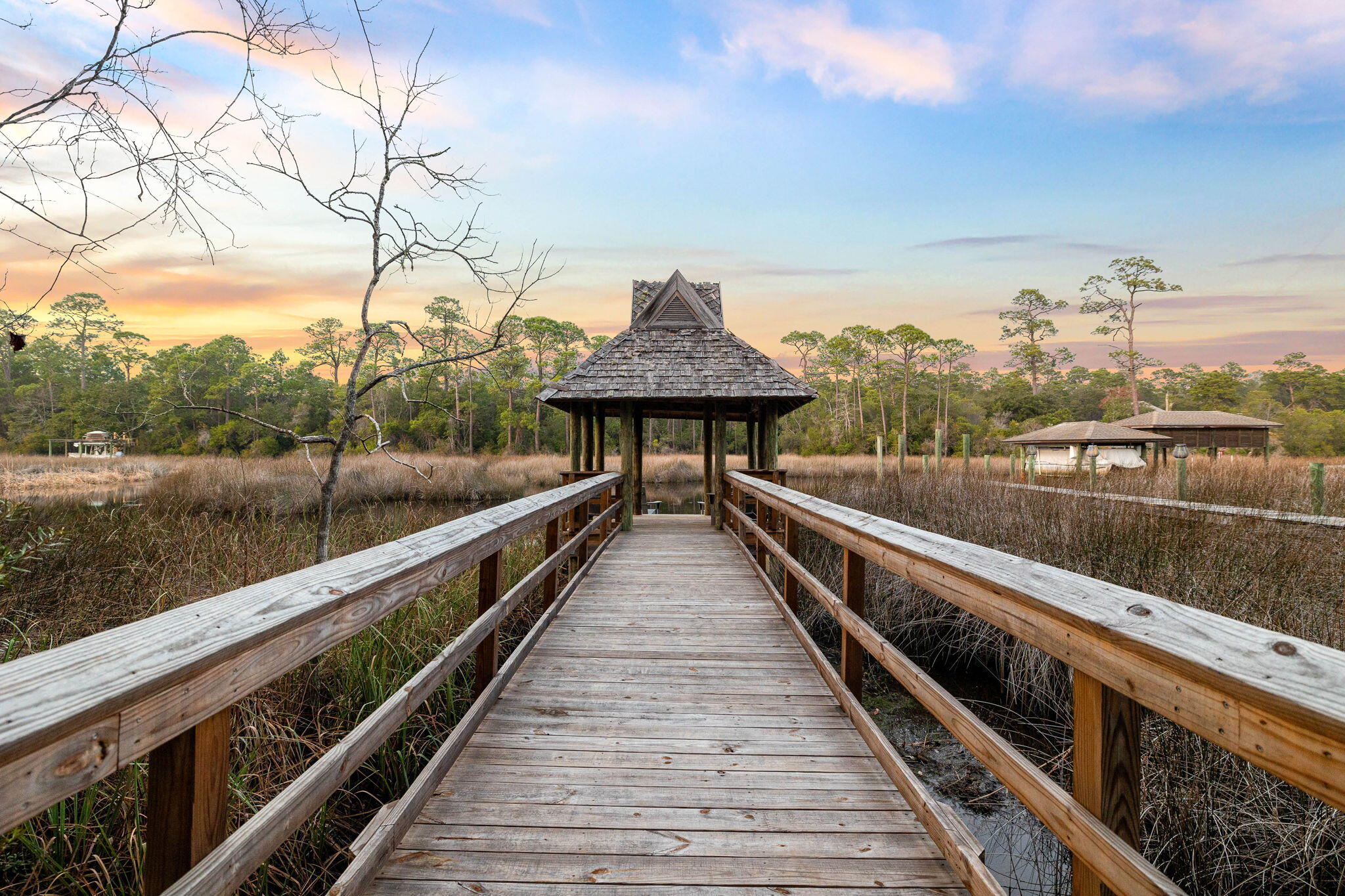 15 Pine Cone Trail Inlet Beach Inlet Beach, FL 32461 - Photo 45 of 52 a view of balcony and yard