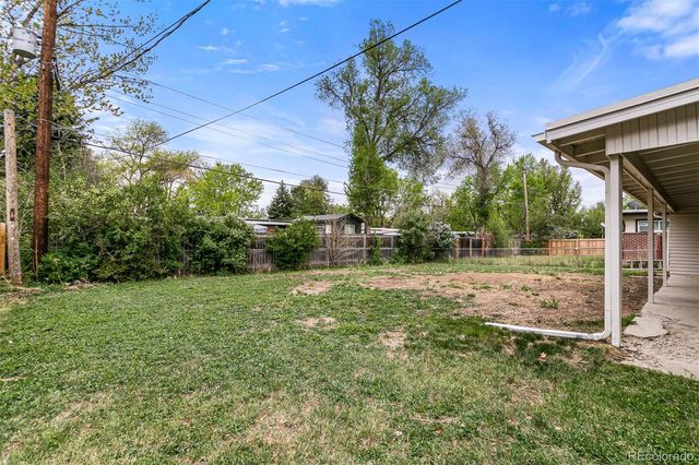 a view of a backyard with plants and large trees