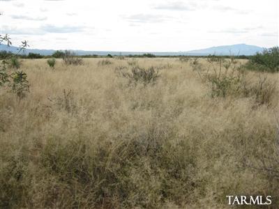 162 East Diamondback Road St. David, AZ 85630 - Photo 3 of 4