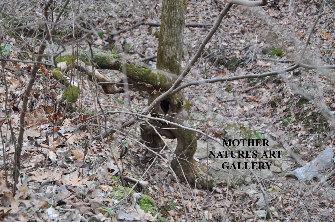 6343 Delina Road Petersburg, TN 37144 - Photo 18 of 30 Gallery Image 18