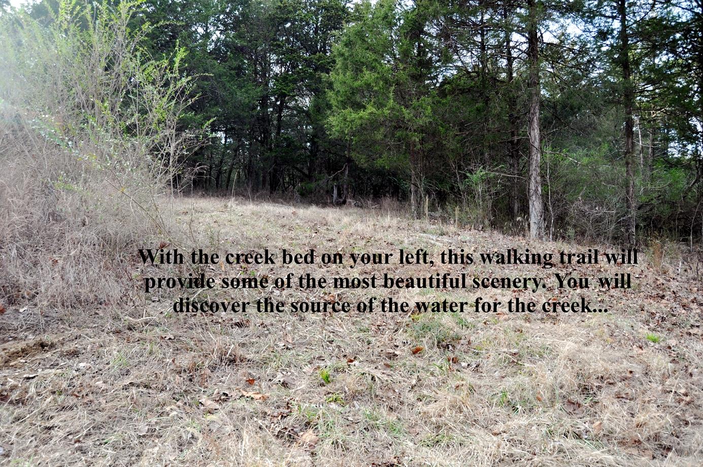 6343 Delina Road Petersburg, TN 37144 - Photo 23 of 30 Gallery Image 23