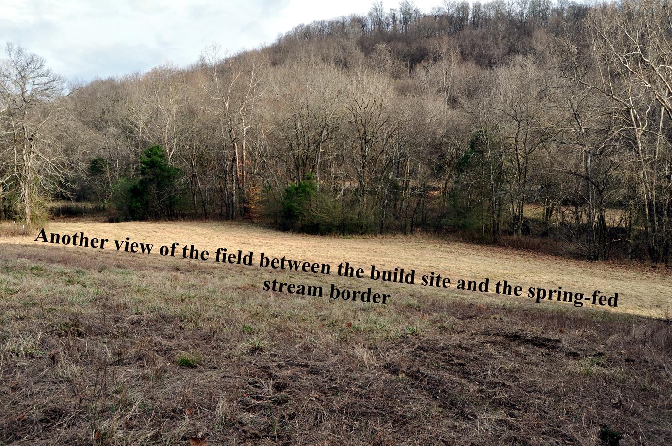 6343 Delina Road Petersburg, TN 37144 - Photo 24 of 30 Gallery Image 24